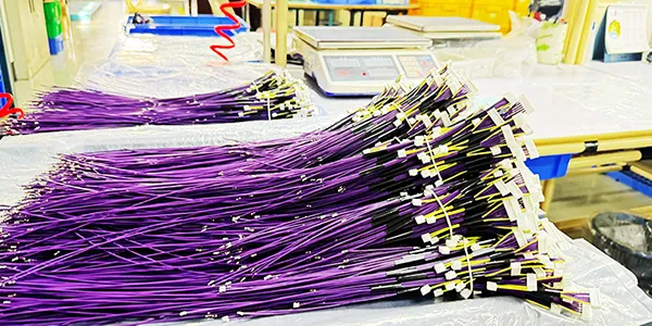 Industry Compliance Standards